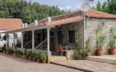 Flower Bungalovi Toroni