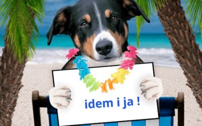 Letovanje sa kućnim ljubimcem