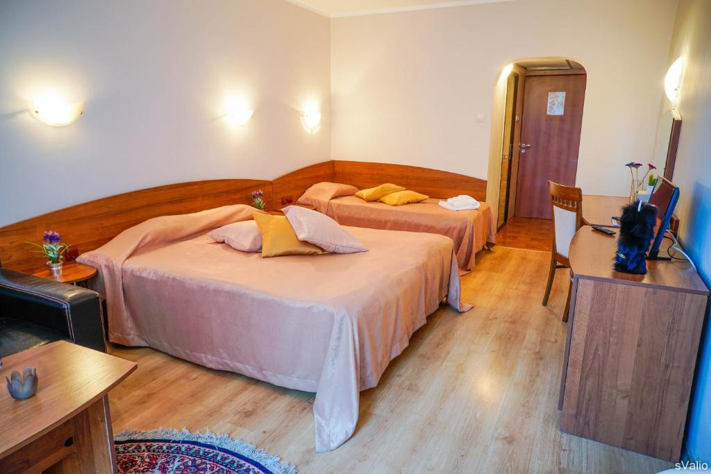 hotel mura borovec sani zima6