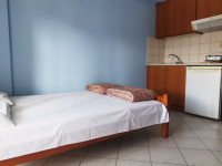 vila erato leptokarija12