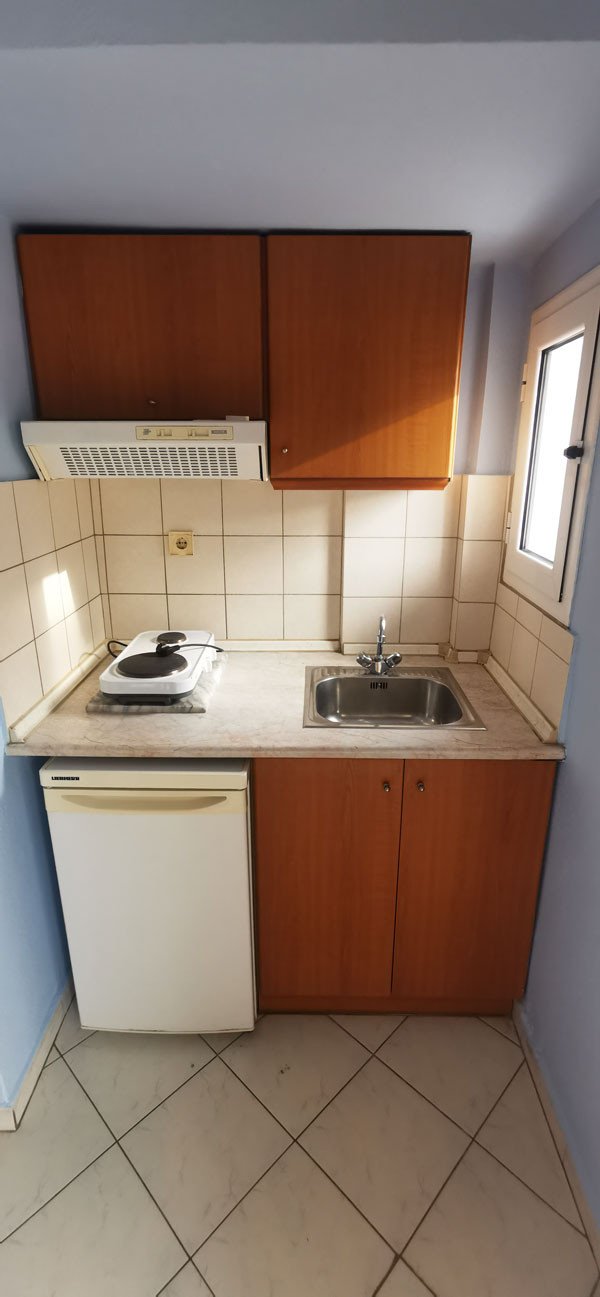 vila erato leptokarija20