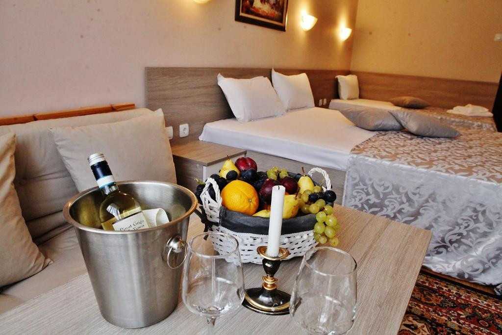 hotel mura borovec01
