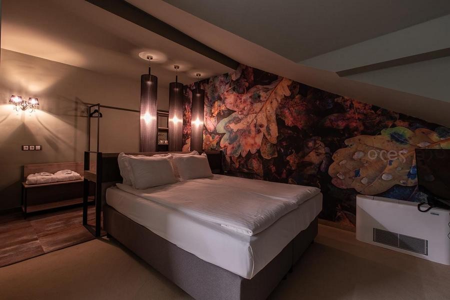 hotel ores bansko14