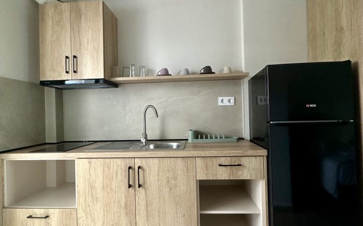 vila clock luxury nei pori15