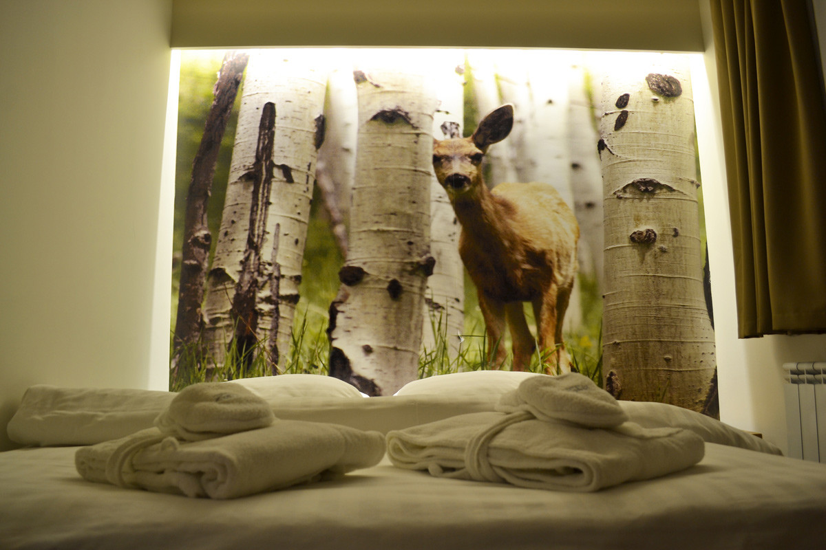 hotel lavina jahorina zima sani tours08