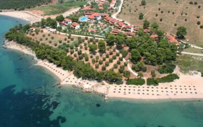 Hotel Blue Dolphin 4* Metamorfozis