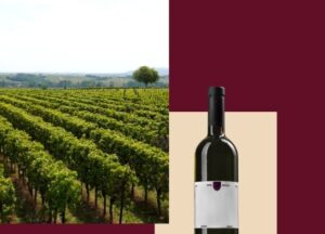 Banat naša priča - jednodnevni izlet