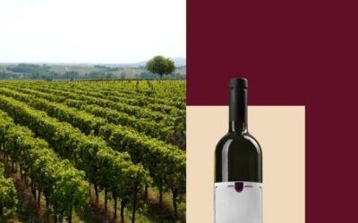 Banat naša priča – jednodnevni izlet