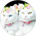 Suzana Petkovic profile picture